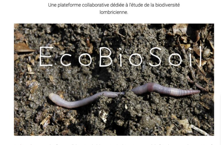 OBSERVATOIRE PARTICIPATIF DES VERS DE TERRE
