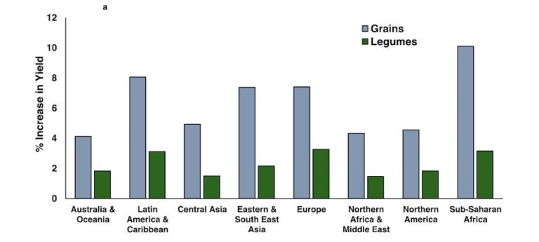 Les vers de terre augmentent les rendements de céréales et de légumineuses dans le monde