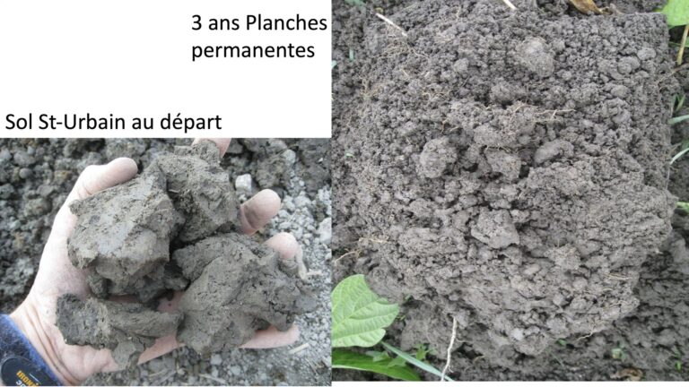 Travailler les sols pour augmenter les grands lombrics!!!