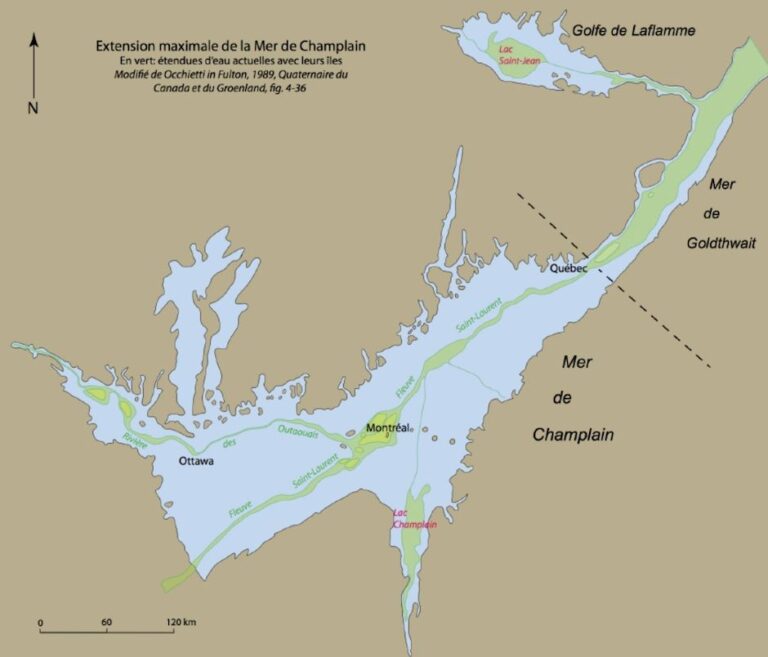 Pourquoi pas de vers de terre au Nord de l’Amérique?